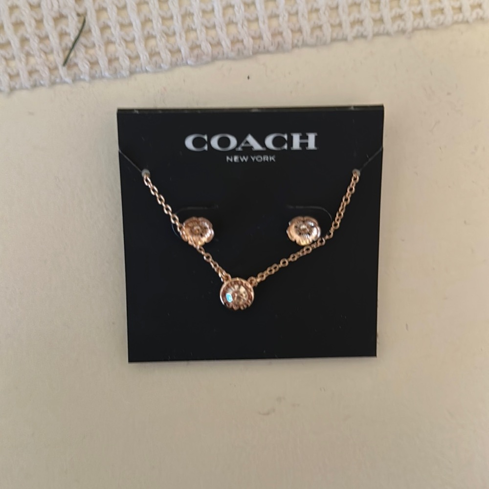 Rose gold Flower earrings and necklace